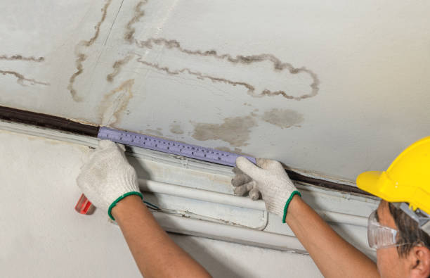 Reliable Burst Pipe Cleanup contractor in Budd Lake, NJ by Water Damage Irwin